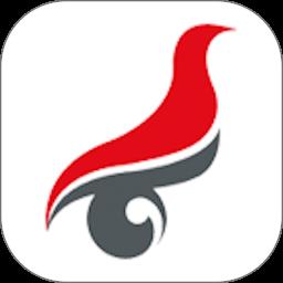 中国高等教育学生信息网(学信网)app v2.4.3 安卓最新版版