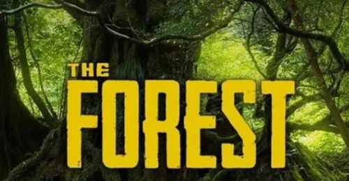 《森林》The Forest作弊码输入方法最新介绍