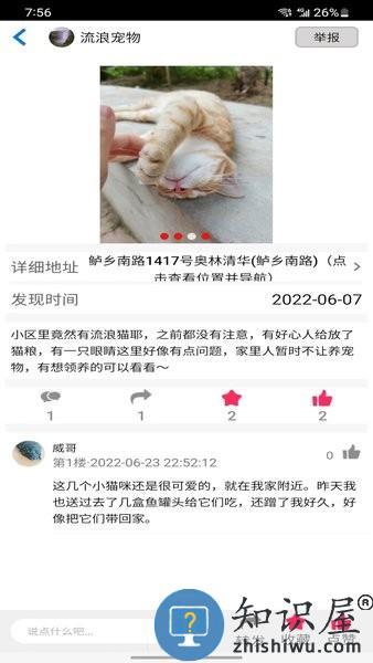 流浪宠物 流浪宠物软件