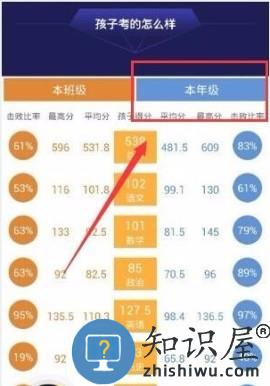 智学网怎么查看年级排名教程