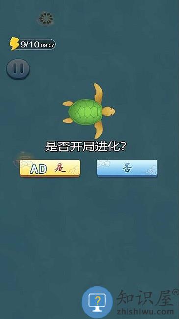 蝌蚪吞王八游戏下载