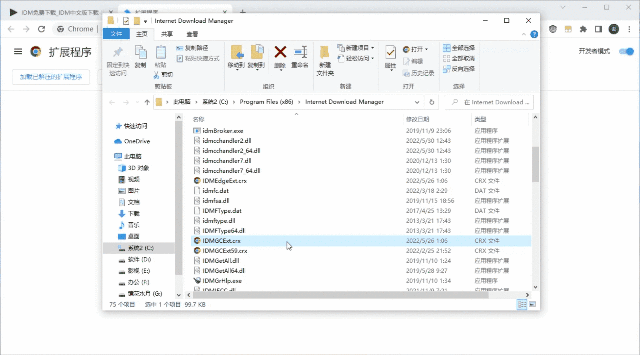 IDM怎么扩展到浏览器?浏览器添加IDM扩展插件的方法