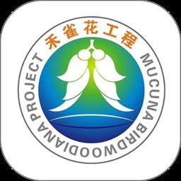 企服电波 v1.1.0 安卓版