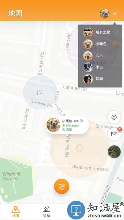 pawfit手机版 pawfit软件