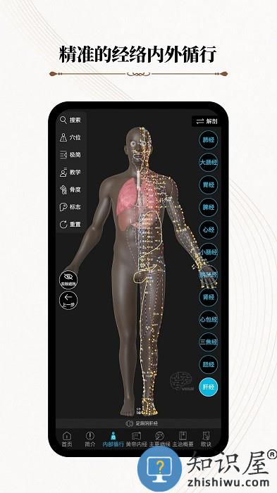 中医经络腧穴解剖教学平台下载安装