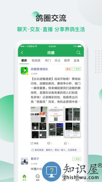 中国信鸽信息网app 中国信鸽信息网官方