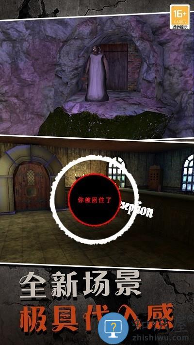 恐怖奶奶序章游戏下载安装