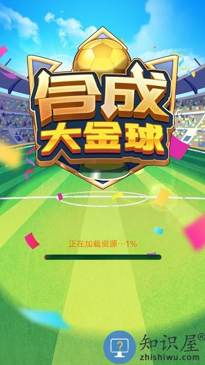 合成大金球下载安装最新版