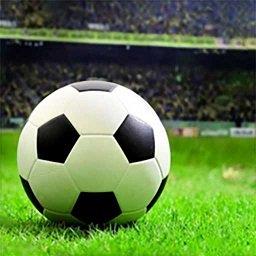 体育课模拟器手机版下载v1.0 安卓版