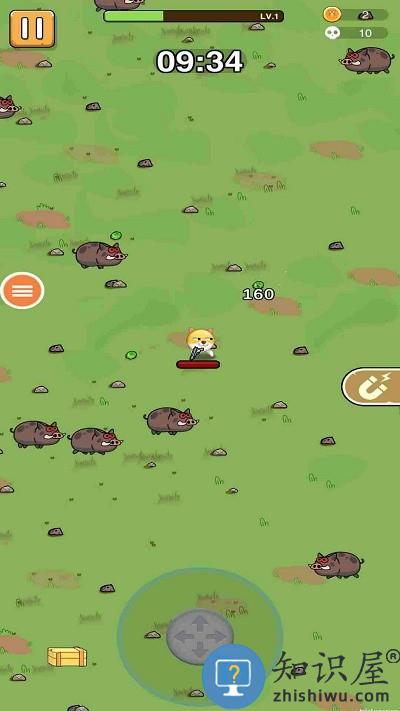 小狗生存僵尸最新版下载