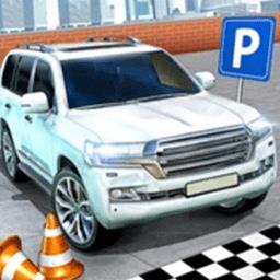 驾校停车模拟器最新版下载v1.0.1 安卓版