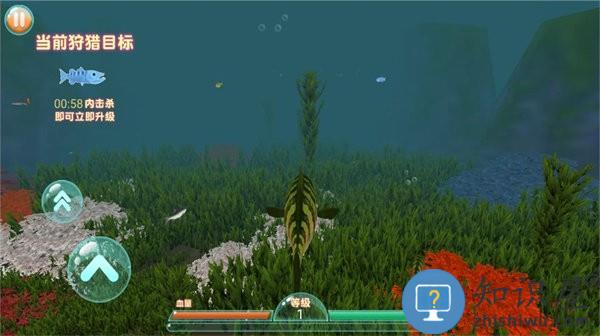 进击的鱼鱼游戏下载