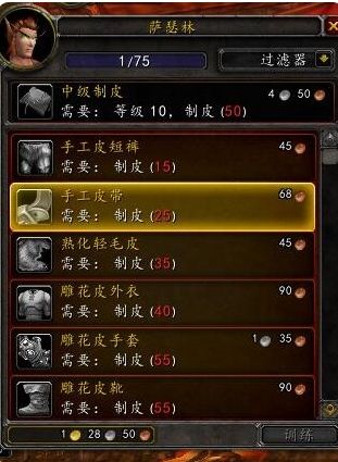 《魔兽世界》怀旧服制皮攻略1-300推荐