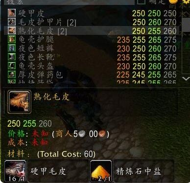 《魔兽世界》怀旧服制皮攻略1-300推荐