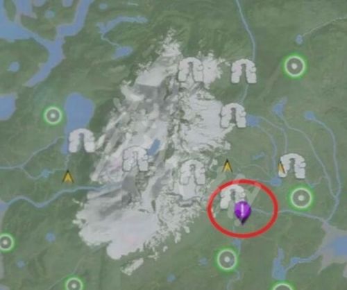 《森林之子》铲子作用详细介绍2024