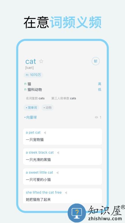 向量单词官方版下载