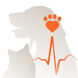 星爱宠平台 v01.00.00.29 安卓版