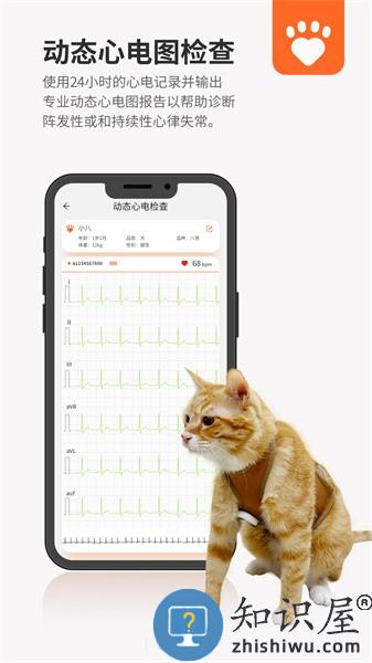 星爱宠 星爱宠下载