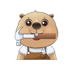 河狸速帮师傅版 v1.0.3 安卓版