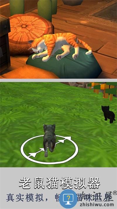老鼠猫模拟器游戏下载安装