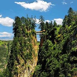 康养漳县客户端下载v3.2.7 安卓版