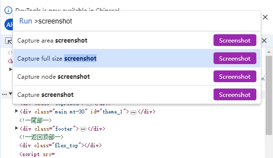 Chrome怎么截图网页全部内容