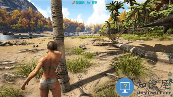 日游神秘岛游戏 日游神秘岛手机版下载