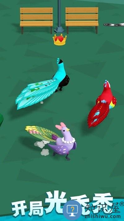 孔雀拔毛大赛手机版 孔雀拔毛大赛游戏下载