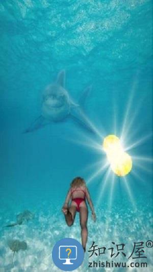 鲨鱼大冒险官方版 鲨鱼大冒险游戏下载