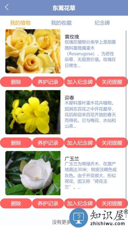东篱花草 东篱花草软件