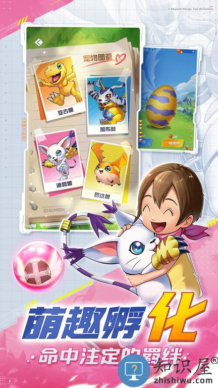 球球英雄taptap版本下载