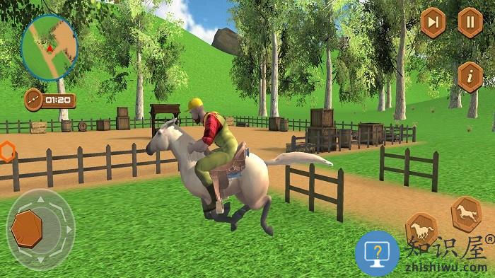 真实马术师模拟游戏 真实马术师模拟手机版下载