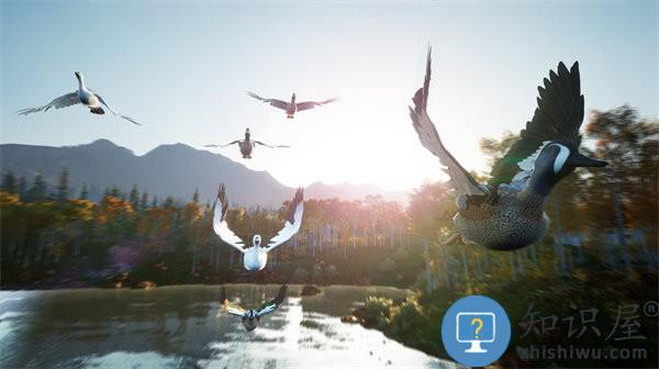 荒岛探险家游戏 荒岛探险家小游戏下载