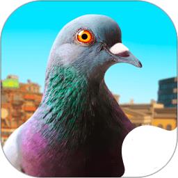 城市鸽子模拟器手机版下载v10 安卓版