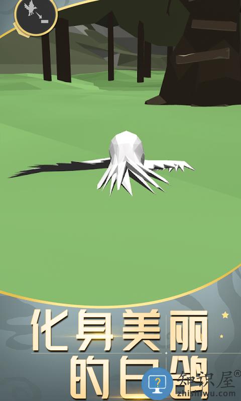 城市鸽子模拟器下载