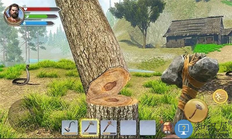 三天饿九顿游戏 三天饿九顿官方版下载