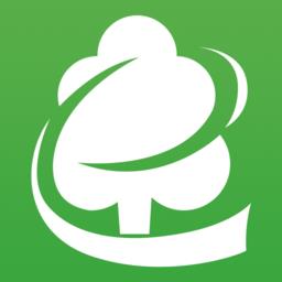 木材码头 v5.2.3 安卓版