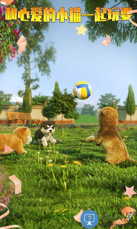寻找喵星人手游下载