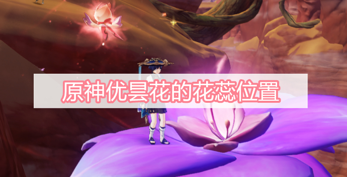 原神优昙花的花蕊位置