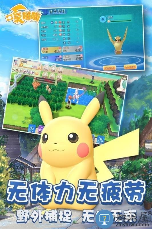 口袋喵喵手游九游版下载