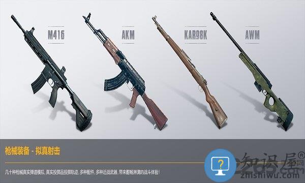 和平精英 和平精英最新欧服版下载