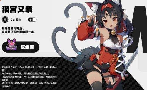 绝区零猫宫又奈最强驱动搭配推荐2024