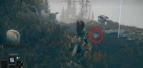 《艾尔登法环》DLC黄金树幽影埃贡支线任务流程一览