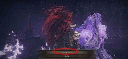 《艾尔登法环》DLC托莉娜休裏耶支线任务流程详解