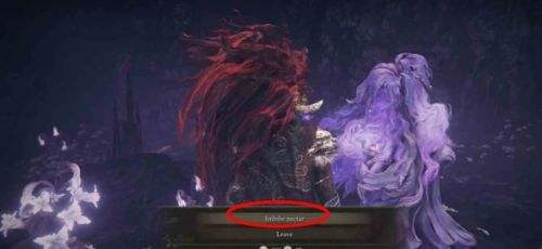 《艾尔登法环》DLC托莉娜休裏耶支线任务流程详解