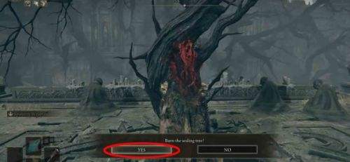 《艾尔登法环》DLC托莉娜休裏耶支线任务流程详解