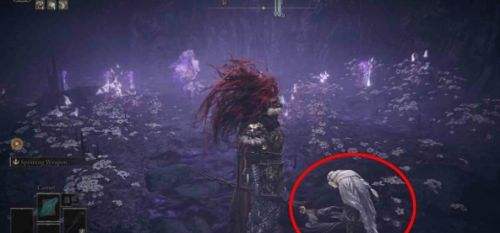 《艾尔登法环》DLC托莉娜休裏耶支线任务流程详解