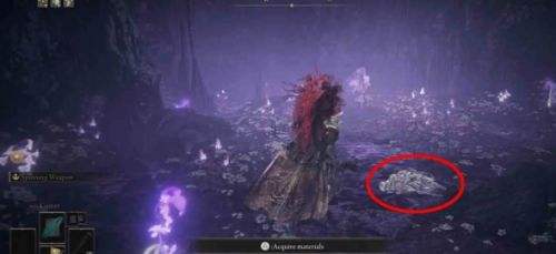 《艾尔登法环》DLC托莉娜休裏耶支线任务流程详解