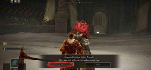 《艾尔登法环》DLC托莉娜休裏耶支线任务流程详解