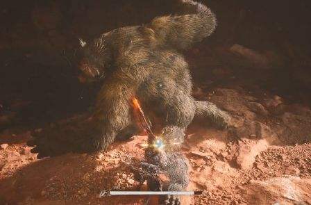 《黑神话悟空》疯虎具体位置及图文打法分享